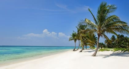 Tortuga B7: Family friendly villa near the beach w/ pool, staff, and golf cart