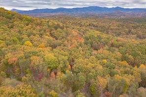 Miscellaneous - THREE BEARS CABIN, PRIVATE MOUNTAIN GETAWAY (Sautee Nacoochee)