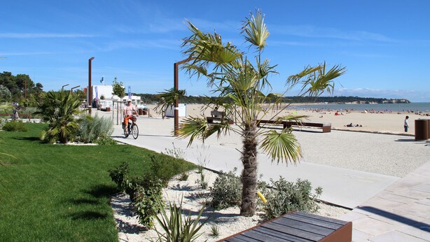 Zona de playa con un sendero pavimentado, palmeras y un ciclista.