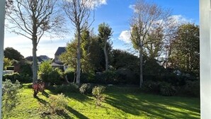 Vista a través de una ventana que muestra un jardín cuidado con diversos árboles y arbustos, y un cielo azul despejado.