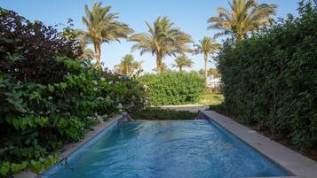 A rectangular swimming pool surrounded by lush greenery and palm trees.