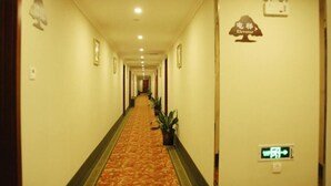Een hotelgang met een vloerkleed, ingelijste foto's aan de muur, potplanten en een bordje met de tekst 'lift'.