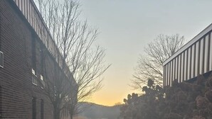 Un sendero pavimentado bordeado por edificios y vegetación, que conduce hacia una estructura distante.