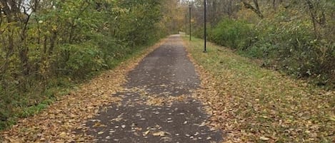 Un sentiero lastricato circondato da alberi e vegetazione.