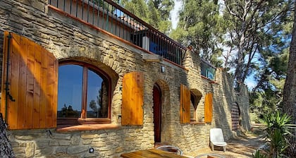 LA Maison Dans LES Pins