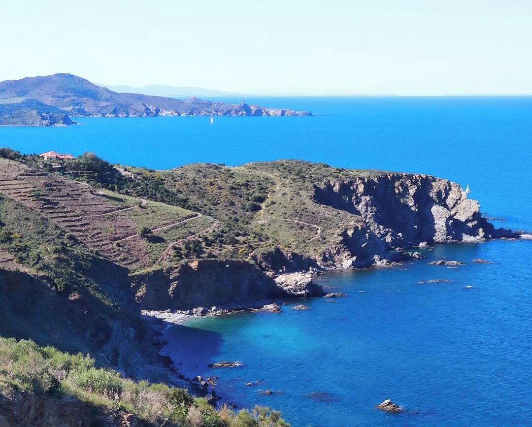 Eine Küstenlandschaft mit terrassenförmig angelegten Feldern, felsigen Klippen und einem klaren, blauen Meer.