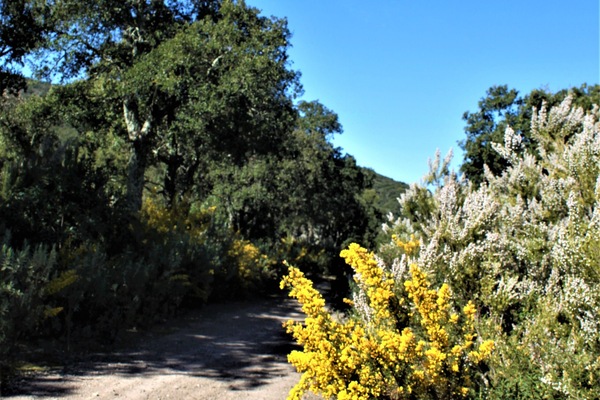 Idées de balades autour de Llauro