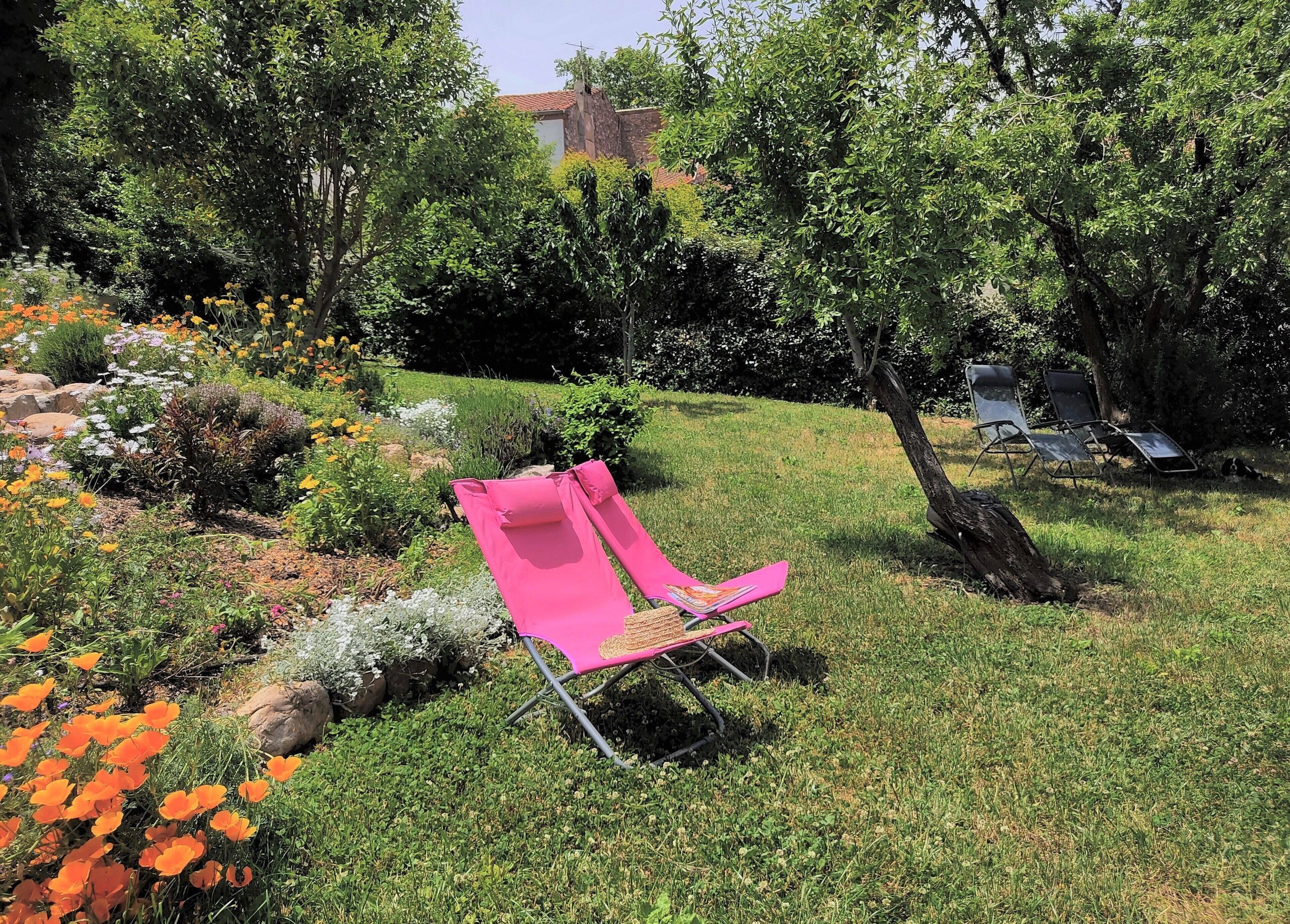 A garden with a pink lawn chair, various plants, and a tree.