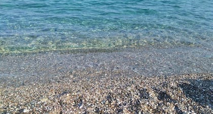 Casa Aurelia in Residence