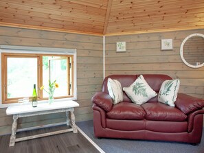 Fernseher, Kamin
