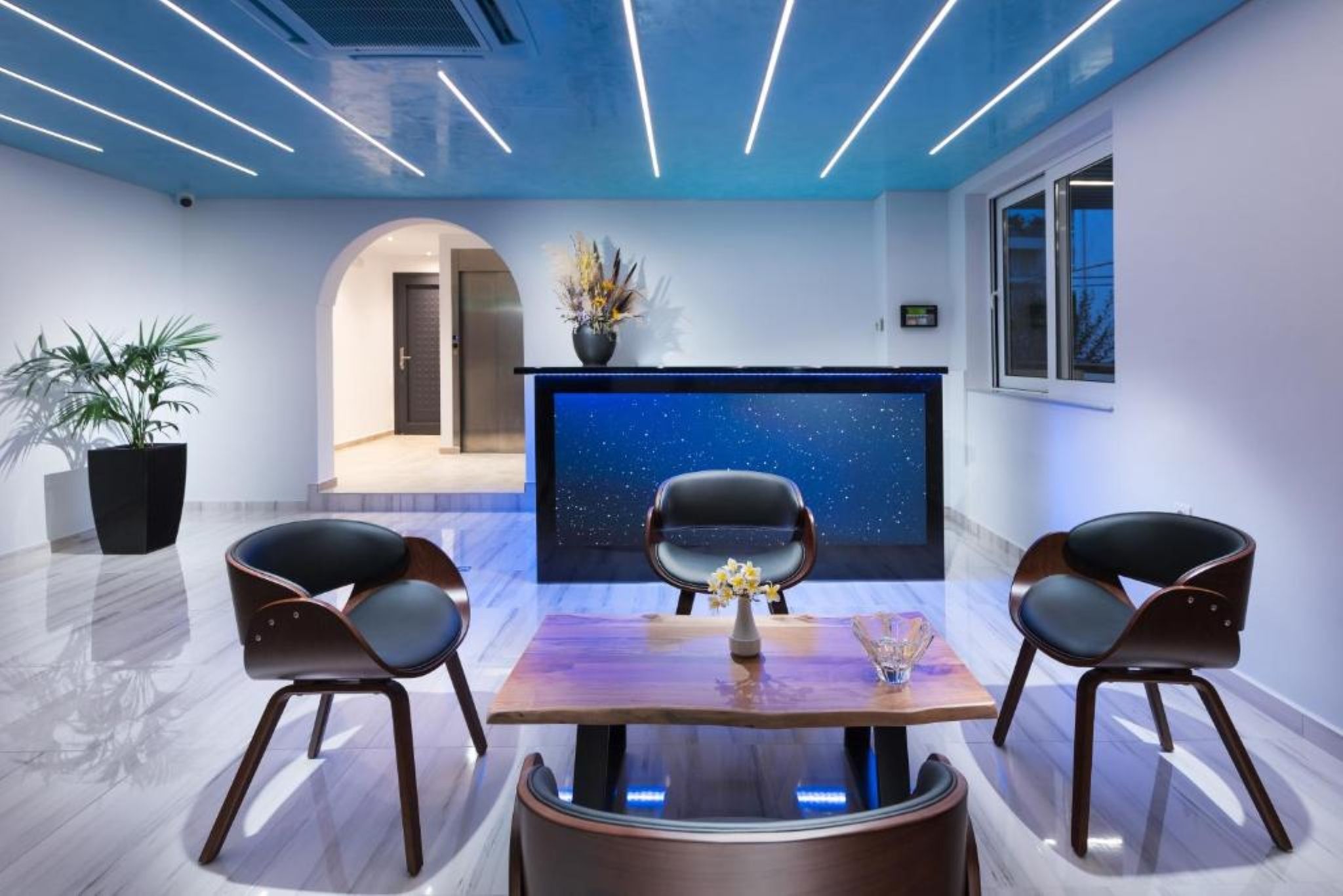 A modern interior with a starry projection on the wall, two chairs, a table, and a potted plant.