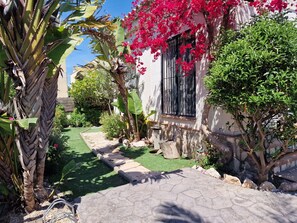Un sentier de jardin menant à un bâtiment doté d’une fenêtre, entouré d’une végétation luxuriante et de plantes en fleurs.
