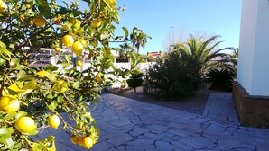 Property grounds - "La Siesta"@MARISOL: 330m to the beach, private pool, A/C, WiFi, dog beach. (Riumar)