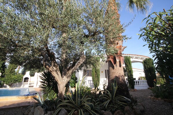 Terrein van de accommodatie