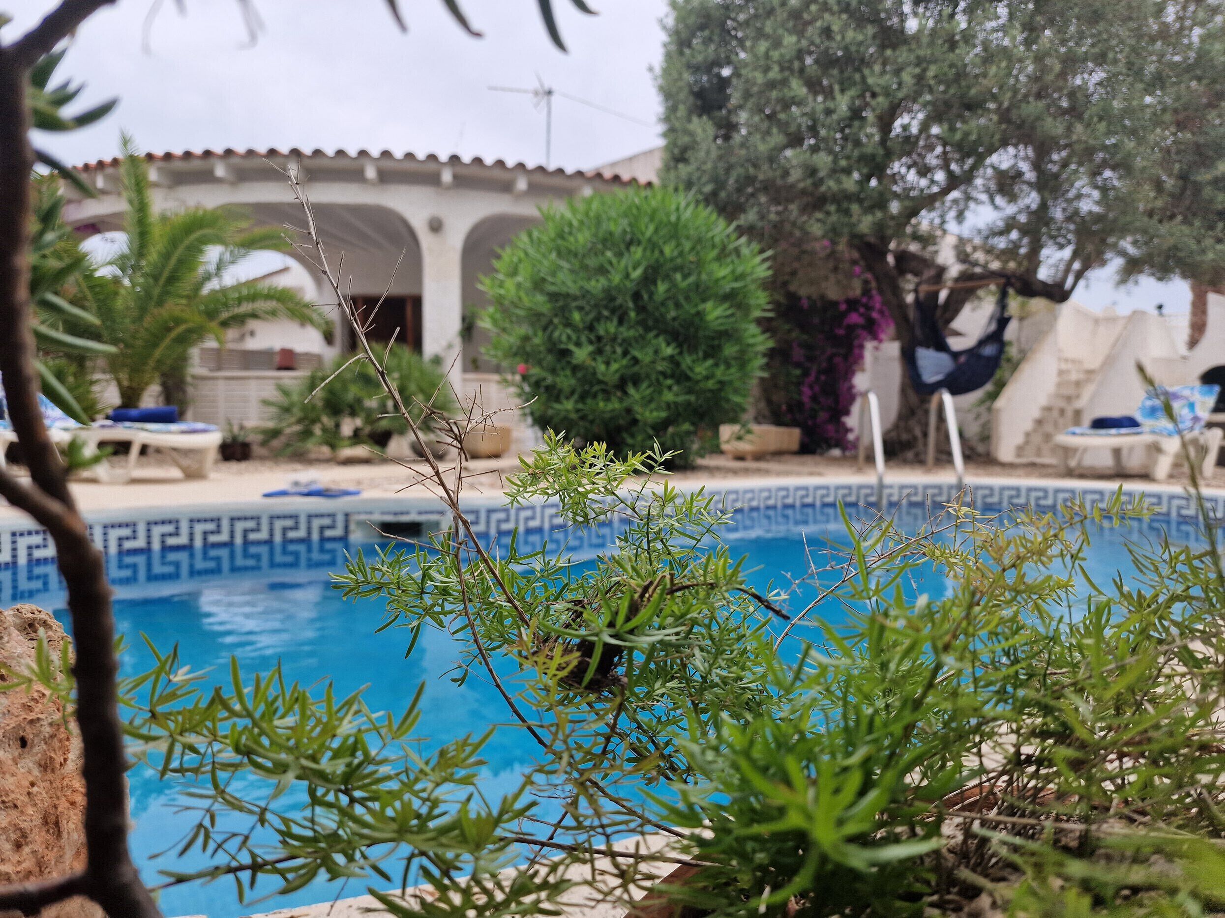 A swimming pool with a geometric tile pattern, surrounded by greenery and a building with arches in the background.