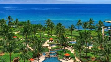 A resort with a swimming pool, palm trees, and a view of the ocean.