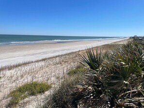 Beach nearby - Elegance by the Sea – 15min to Nights of Lights (Vilano Beach)