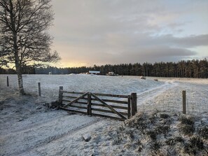 Property grounds - 3 bedroom accommodation in Nethy Bridge (Nethy Bridge)