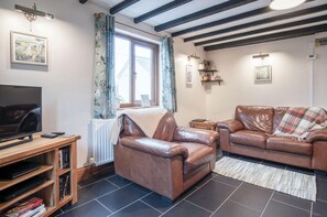 Televisión, reproductor de DVD