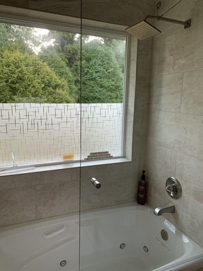 Combined shower/bathtub, jetted bath, hair dryer, towels
