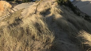 サンラウンジャー、ビーチタオル