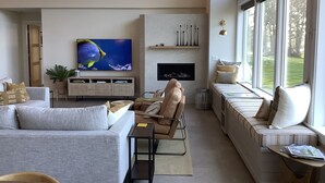 スマートテレビ、暖炉、書庫