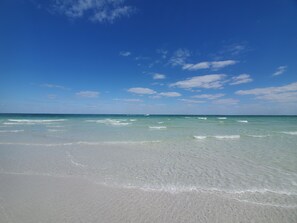 Beach - Warm and Inviting pet-friendly 2BR/2BA in Idyllic Bay Front Neighborhood (Sarasota)