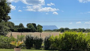 Un jardin aménagé avec une pelouse, un pot de fleurs et une vue sur un champ et des montagnes au loin.
