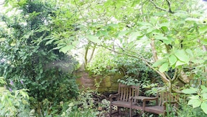 A wooden bench in a lush garden with dense foliage and a stone wall in the background.