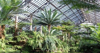 HUGE 1700 sqft 3bd West Loop Penthouse w/ Balcony