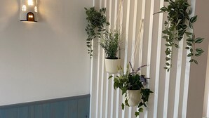 Una habitación con pared blanca y azul, una lámpara decorativa y varias plantas colgantes.