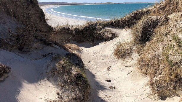 Une plage de sable avec un étroit sentier menant à l’eau, bordée de dunes herbeuses.