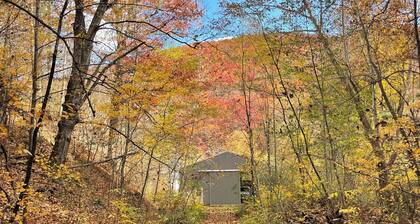 Remodeled Farmhouse 150 acres - Minutes from Escatawha Farms Fly Fishing