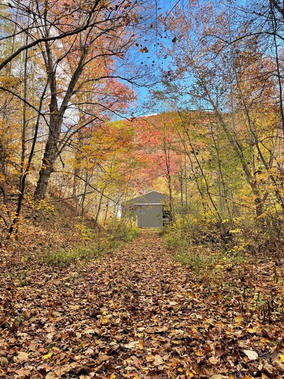 Remodeled Farmhouse 150 acres - Minutes from Escatawha Farms Fly Fishing