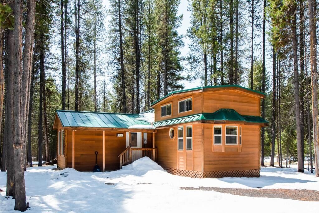 A wooden cabin with a green roof, surrounded by tall pine trees and covered in snow.