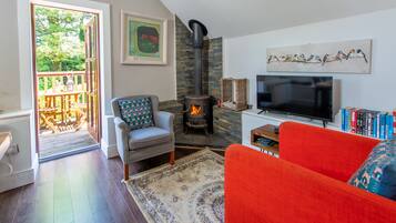 Smart TV, DVD player