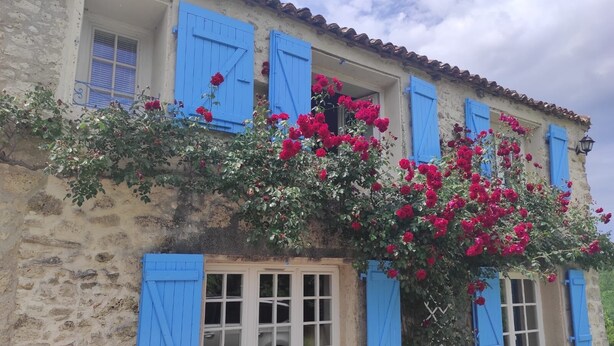 A stone building with blue shutters and a flowering bush. - Demeure de Charme 10 Personnes Avec Piscine (Sainte-Colombe-en-Bruilhois)