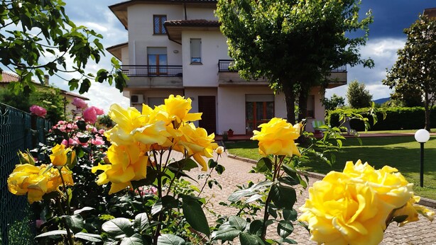 Un jardín con rosas amarillas frente a una casa de dos plantas con un balcón.