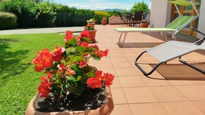 Un patio con una silla y plantas en macetas.