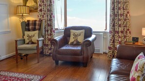 A living room with a brown leather armchair, a blue armchair with a deer pillow, a red patterned rug, and a window with floral curtains.