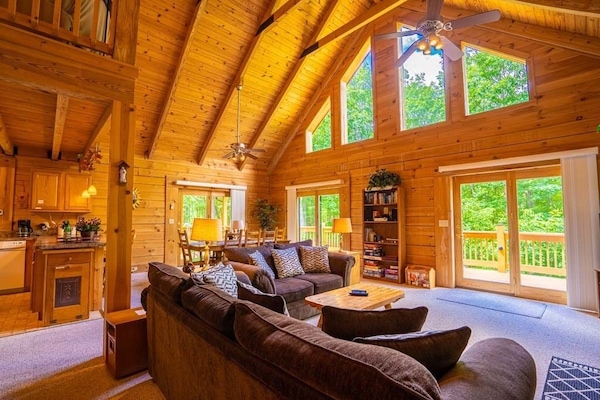 TV connectée, cheminée, lecteur de DVD, ordinateur