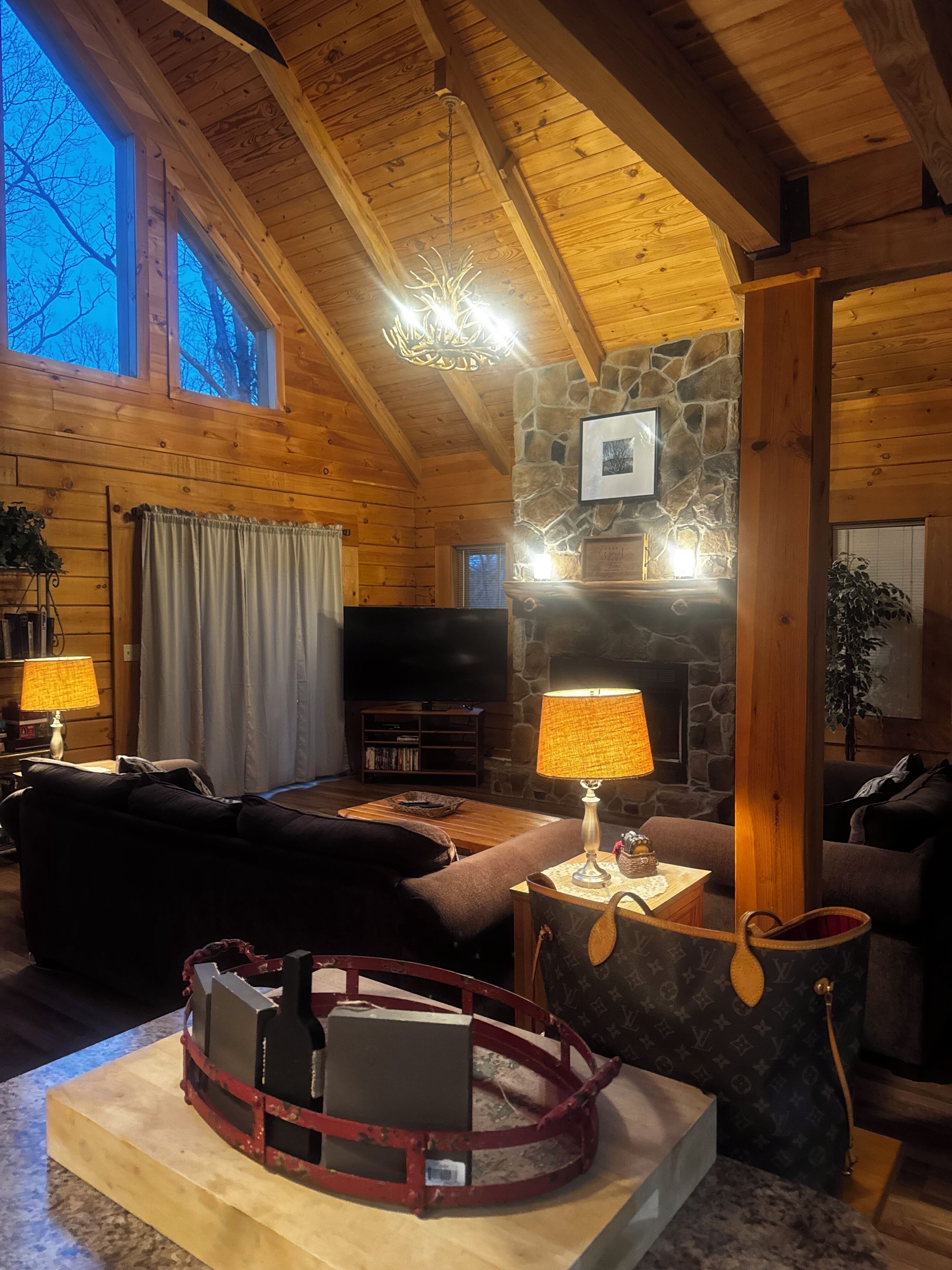 TV connectée, cheminée, lecteur de DVD, ordinateur