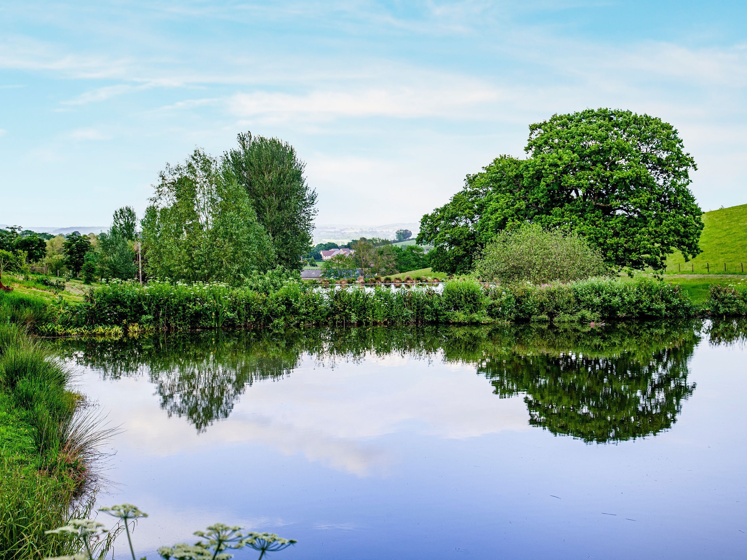 Um lago sereno refletindo árvores e uma casa ao longe.