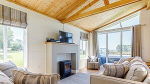 Una sala de estar con chimenea, televisor y sofá.