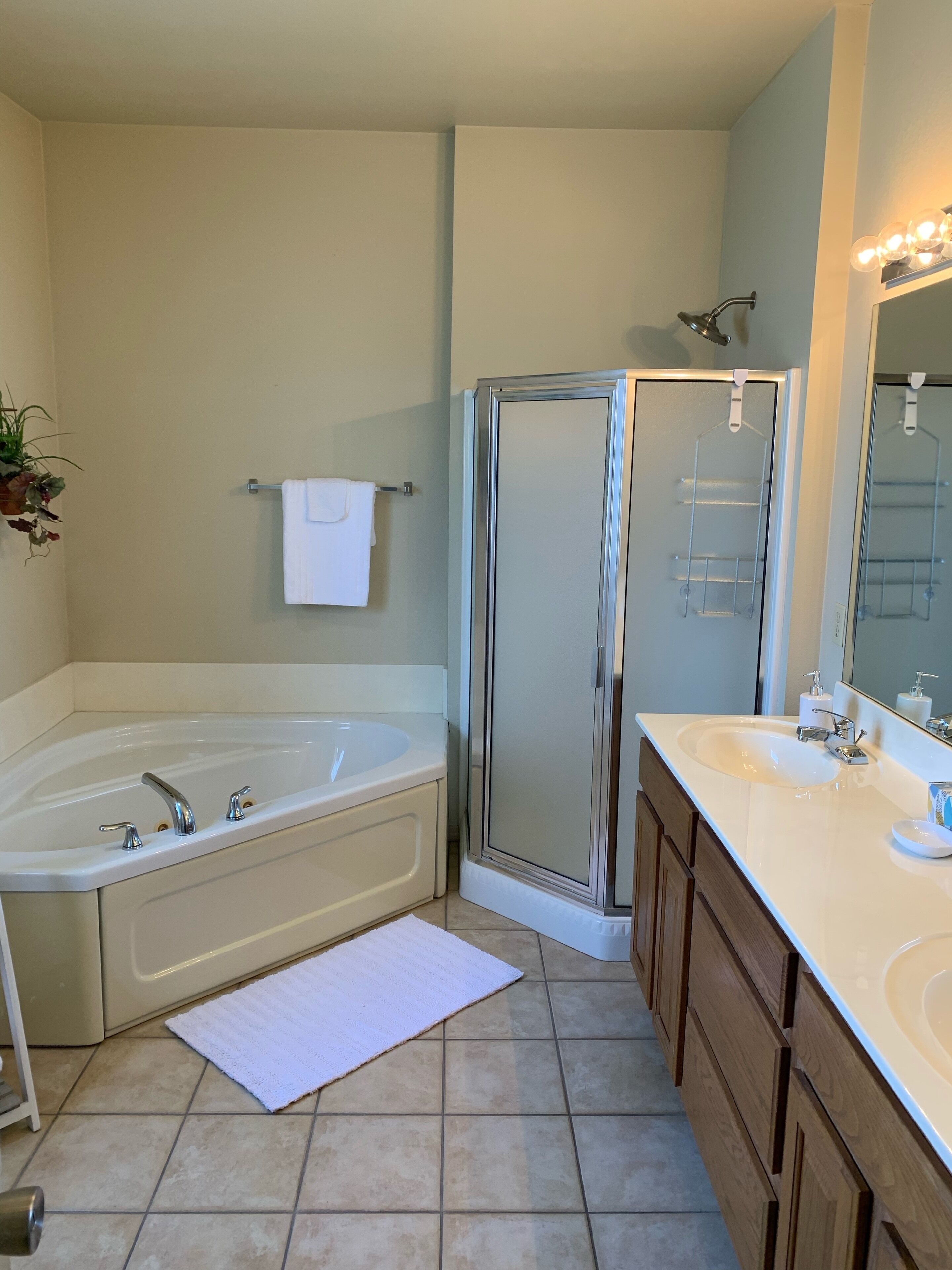 Combined shower/bathtub, jetted bath, hair dryer, towels