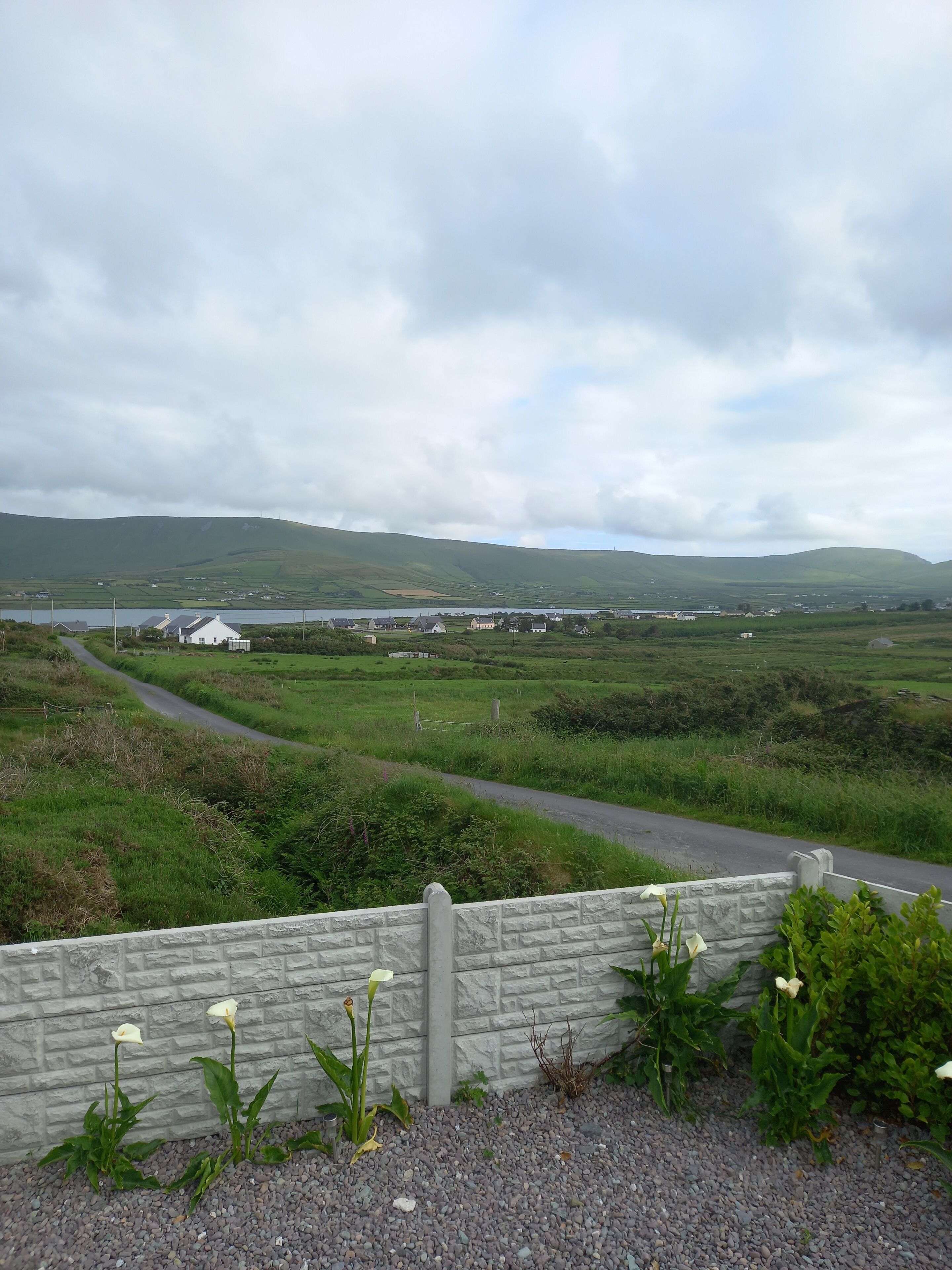 Căn hộ | Khuôn viên nơi lưu trú