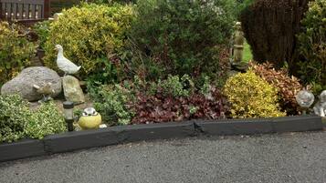 A garden with various plants and a bench.