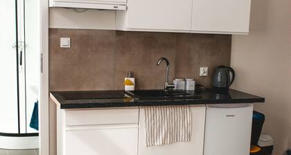 Souvenirappart au Coeur de Bydgoszcz 12C