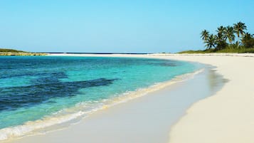 Beach nearby, sun loungers, beach towels