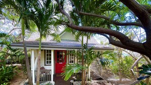 A house with a red door, surrounded by lush greenery and a hammock. - Caribbean / Atlantic Ocean Views / Near Twin Cove Beach / Garden Oasis Setting. (Governors Harbor)
